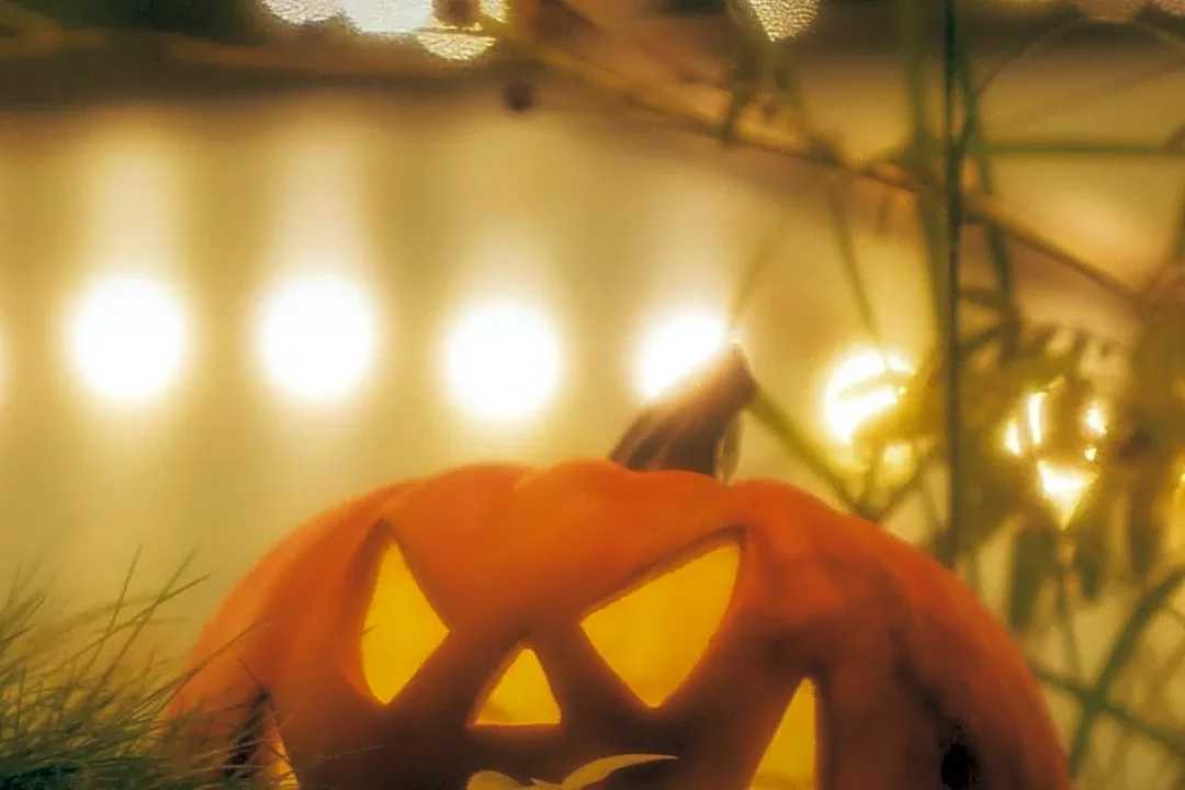 How Horror Movies and Haunted Houses Use Peripheral Vision to Build Fear