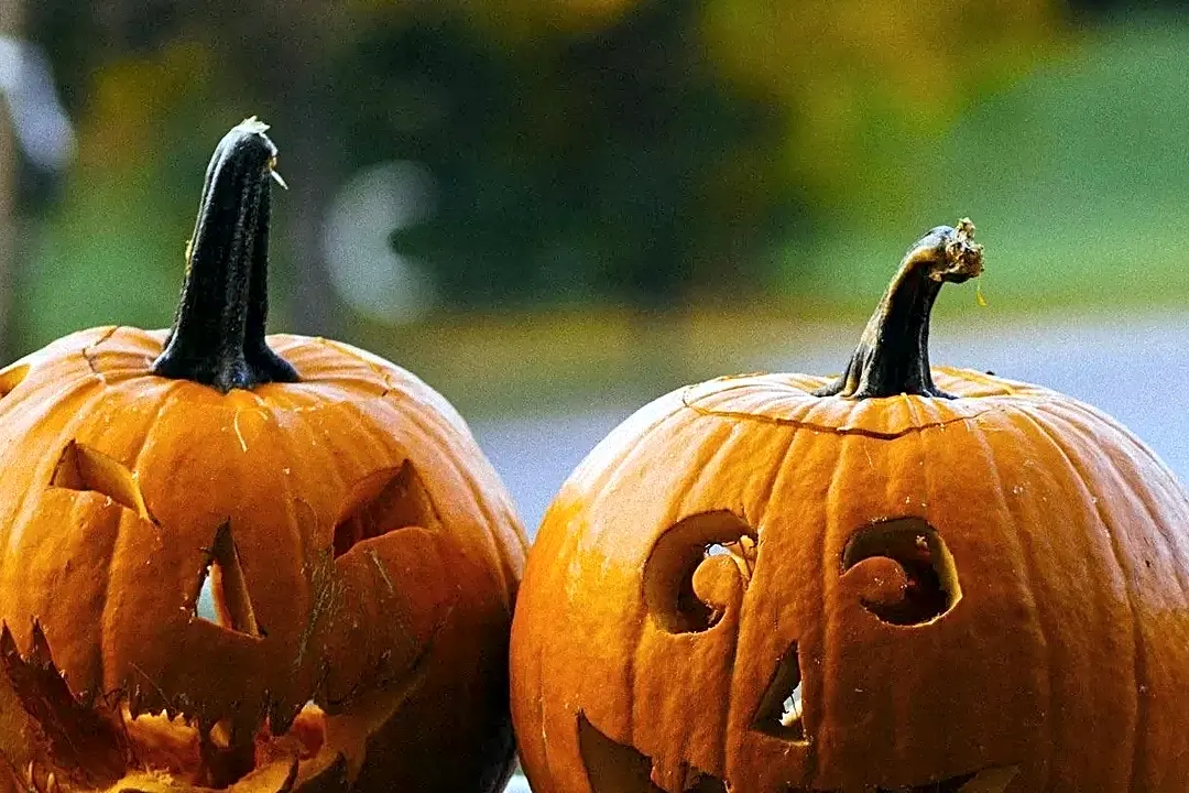 What Halloween Ends' Thursday Previews Revealed About Its Box Office Opening