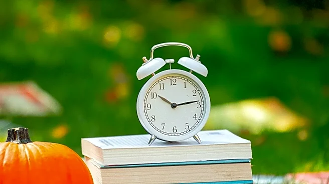 How School Breaks Shape Halloween Attraction Attendance and Ticket Sales