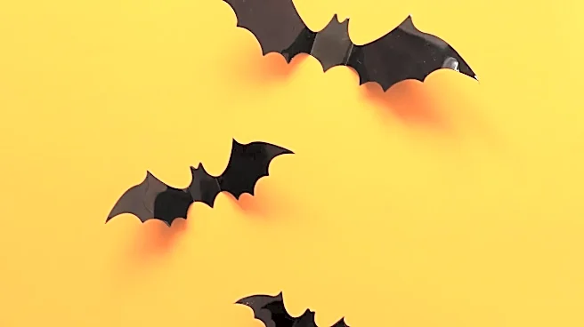 Why Horror Franchises Turn Halloween Into a Year-Round Identity