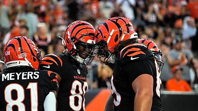 Former Georgia WR Colbie Young scores first NFL touchdown