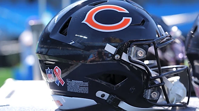 Bears waive former Georgia Bulldogs All-SEC specialist