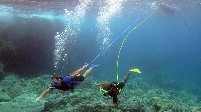 32 Offbeat Cruise Excursions That Go Way Beyond Sightseeing