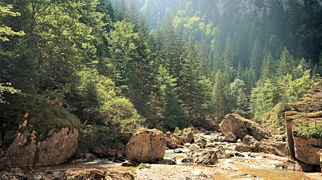 11 Hidden Waterfalls in North America Accessible by Easy Hikes
