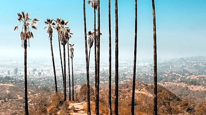 Stop Chasing Sun: The 7 Unexpected Cities That Are Cheaper, Warmer, and Kinder to Your Soul in January