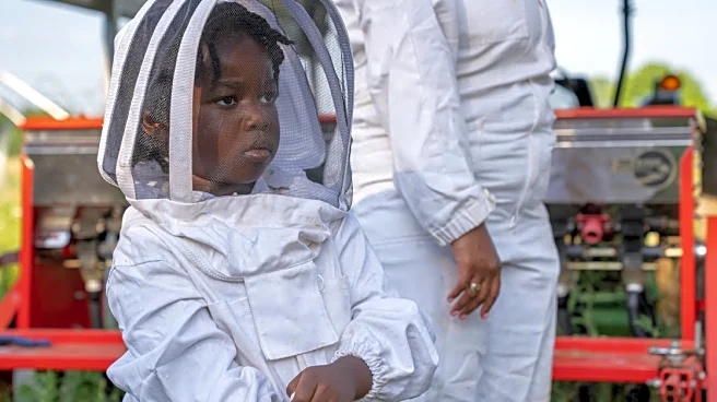 The Best Souvenir: 4 Trips Where You Learn a Skill Instead of Buying a T-Shirt