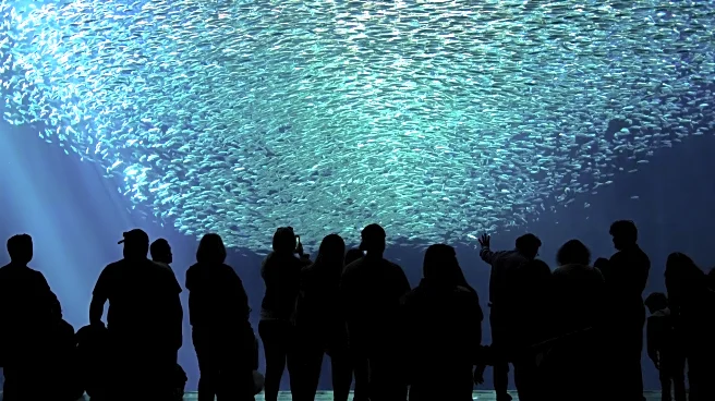 10 Affordable Coastal Destinations for Ocean Animal Lovers