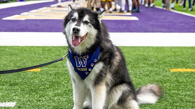 25 Bucket-List College Stadiums to Visit Before You Die