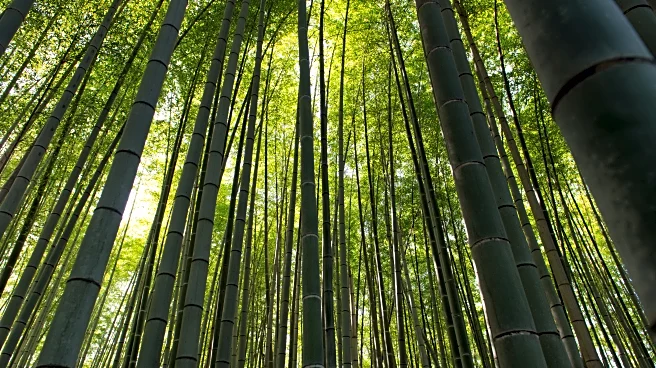 Unbelievable Sleep Retreats for a Restful Escape