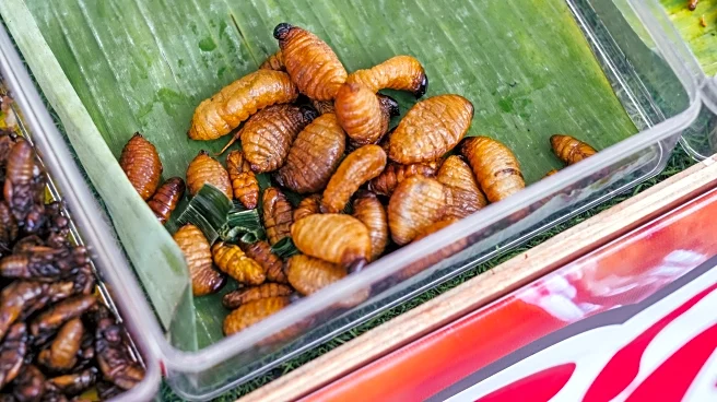 Important Foods to Avoid on Your Southeast Asian Culinary Trip