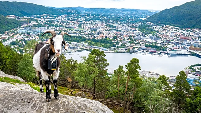 Picture-Perfect Coastal Towns with Views You Have to See to Believe