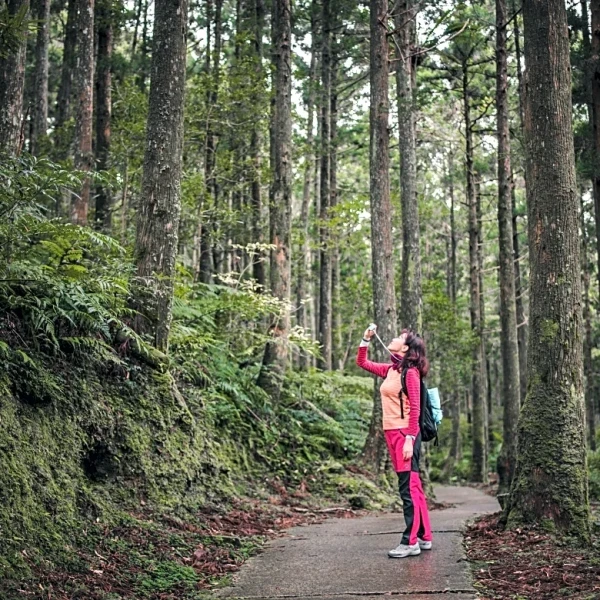 7 Eco Travel Ideas That Refresh Mind and Earth Alike