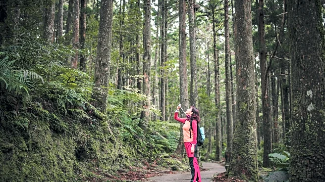 7 Eco Travel Ideas That Refresh Mind and Earth Alike