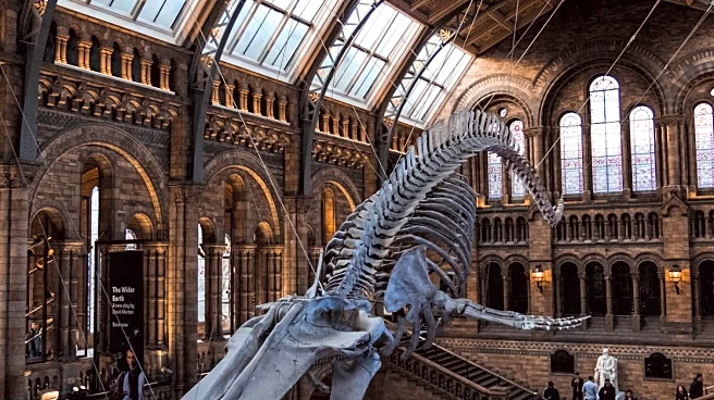 9 Educational Travel Destinations That Kids Actually Enjoy