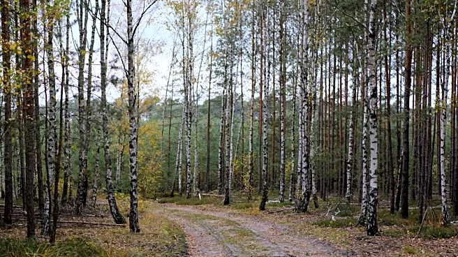 7 Hiking Trails That Don't Require Professional Climbing Skills