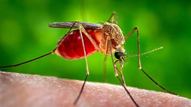 Texas reports first 2026 West Nile virus case in Houston. What to know