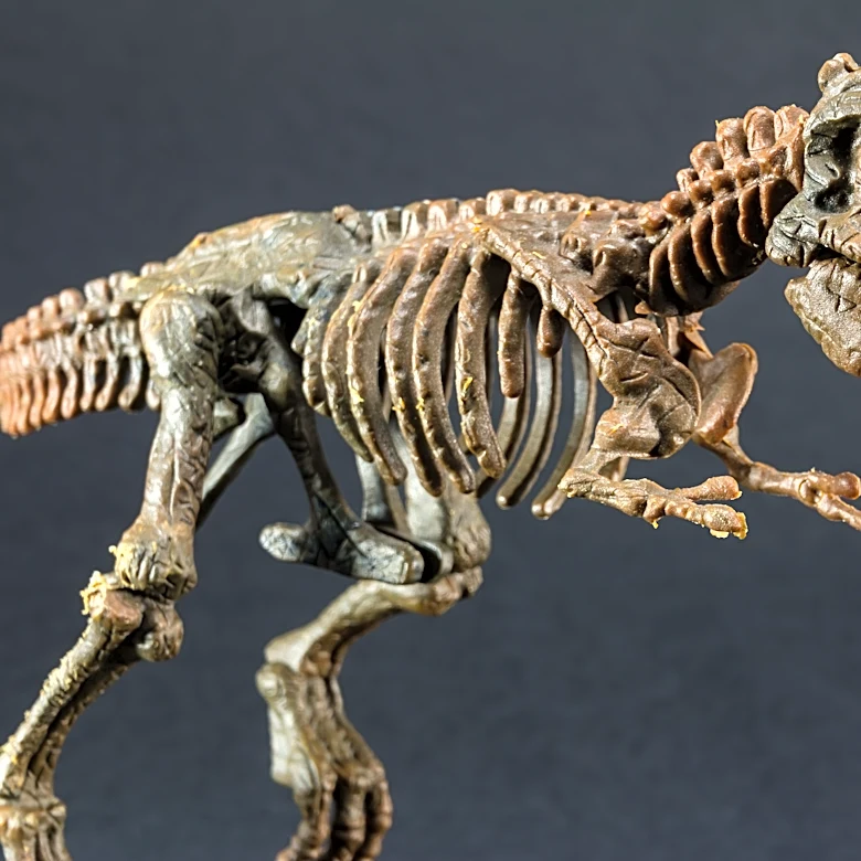 The T. rex is known for having tiny arms. New study suggests why