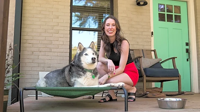 Summer's on the way! See how to keep your dog safe this season