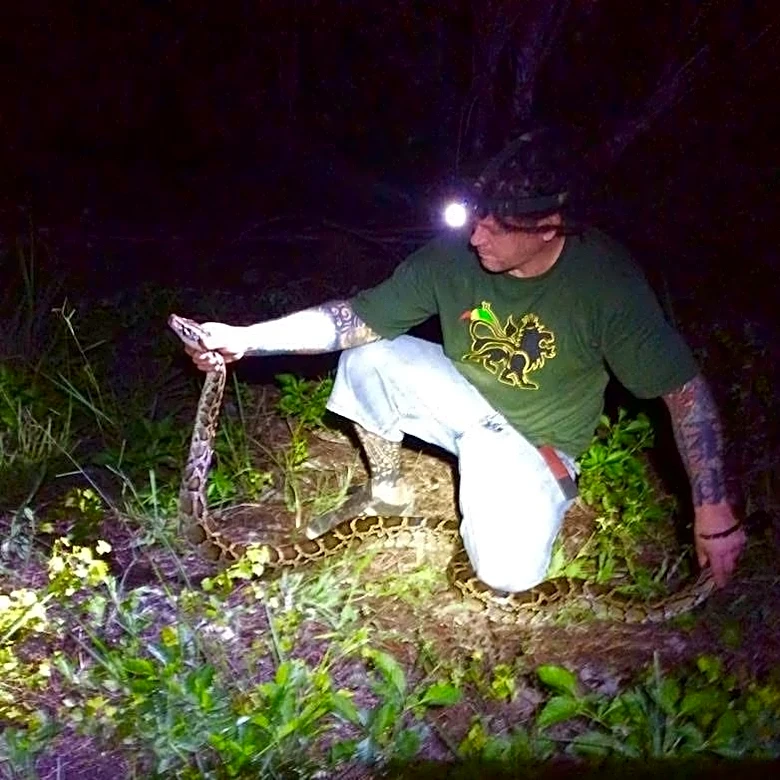 Native Florida rodent could go extinct, thanks to Burmese python