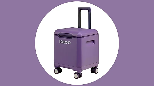 This Igloo cooler with spinner wheels is on save for under $100