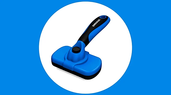 This popular pet brush has over 20k recent purchases and is on sale