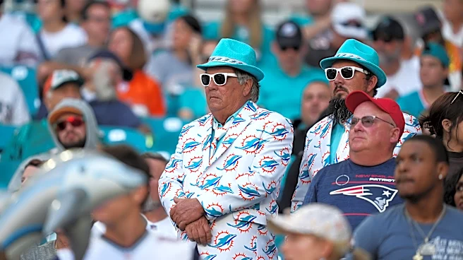 See the Miami Dolphins NFL schedule + book the ultimate team getaway