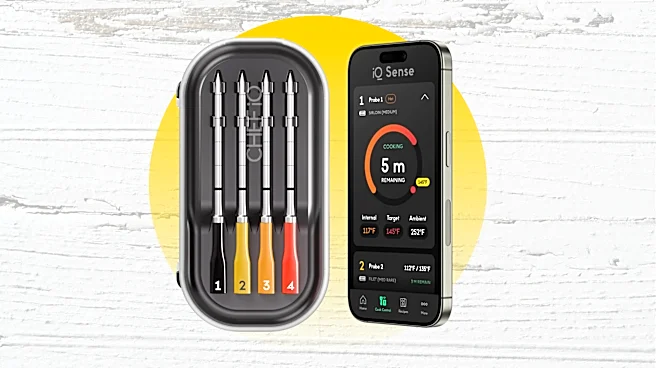 Save on Amazon's smart meat thermometer that 1K+ grill masters swear by