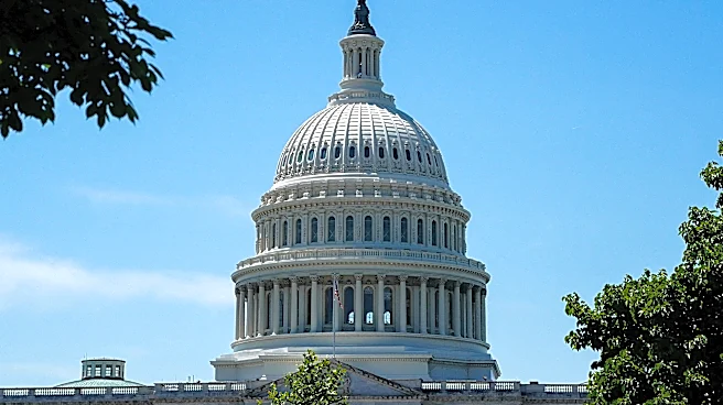 We need to add 6,000 seats to Congress. I'm serious. | Opinion