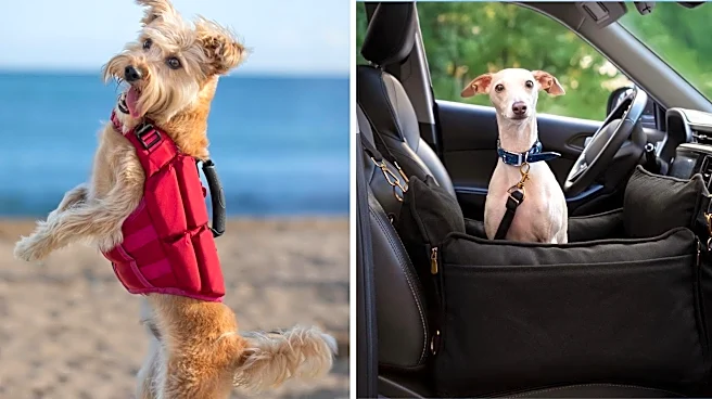 Pamper your pup with 15% off Noah & Paw collection at Amazon