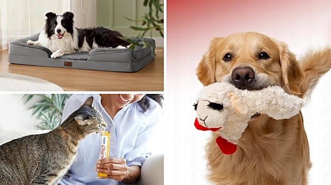 Customer-loved Amazon pet products under $50 for Memorial Day