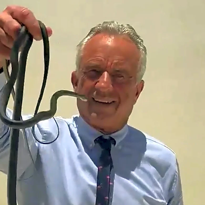 RFK Jr. wrangles snakes with bare hands in latest animal encounter