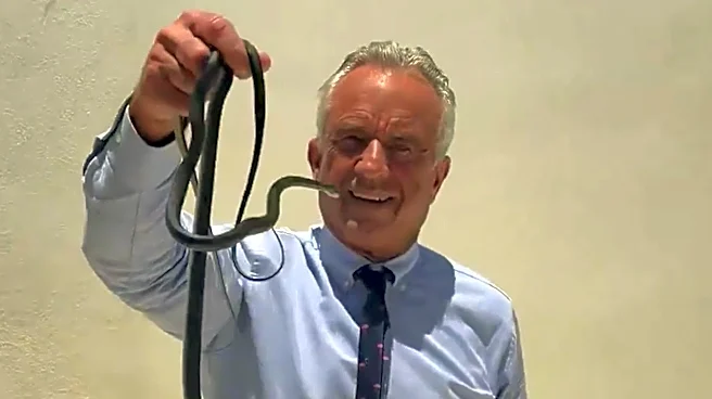 RFK Jr. posts 2nd snake wrangling video, but this time it's venomous