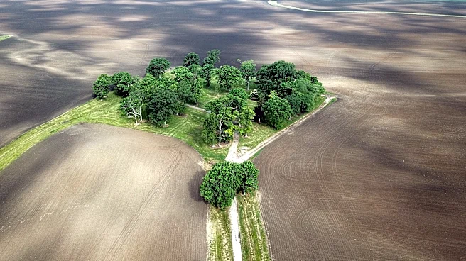 Ohio Supreme Court says state must revisit solar farm on Bill Gates' land
