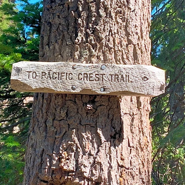 Dozens of hikers fall ill along Pacific Crest Trail in California