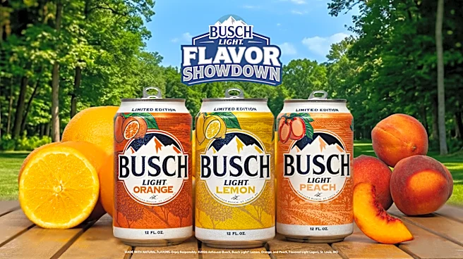 Busch Light is letting fans decide its next beer flavor