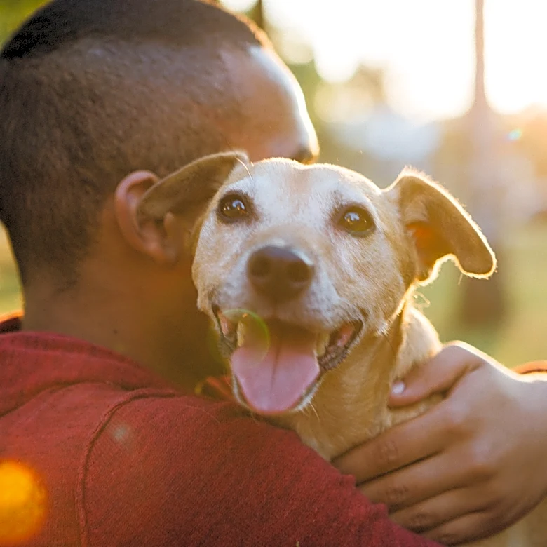 Prepare for your pet's final days: Why experts say it's best to start now
