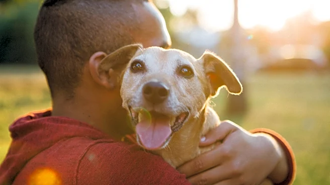 Prepare for your pet's final days: Why experts say it's best to start now