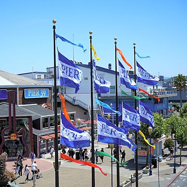 Headed to Levi's Stadium for World Cup? Things to do in San Francisco