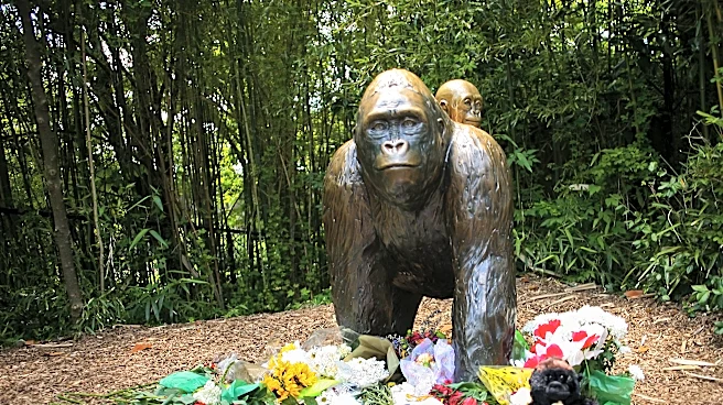 White House honors Harambe as 'true patriot,' reigniting online debate