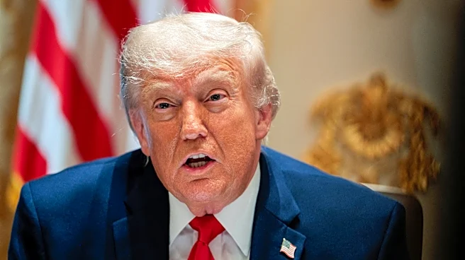 $250 bill mock-ups feature Trump's portrait. But there's a catch.