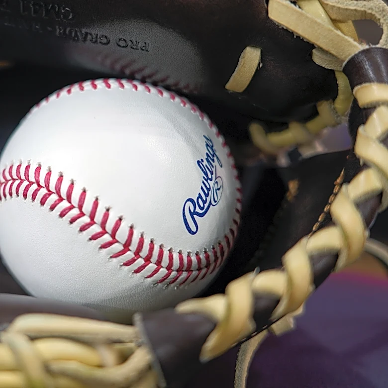 Youth baseball coach gets lifetime ban for viral incident