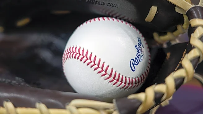 Youth baseball coach gets lifetime ban for viral incident