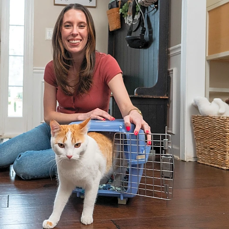 What you should know before taking a road trip with your cat: Video