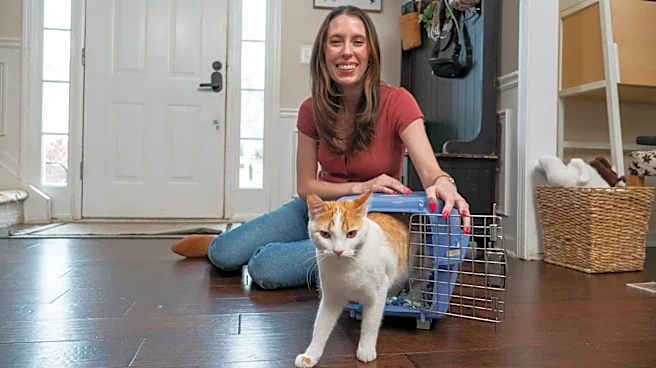 What you should know before taking a road trip with your cat: Video