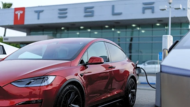 Driver, 87, dies after Tesla on Autopilot mode crashes into pond