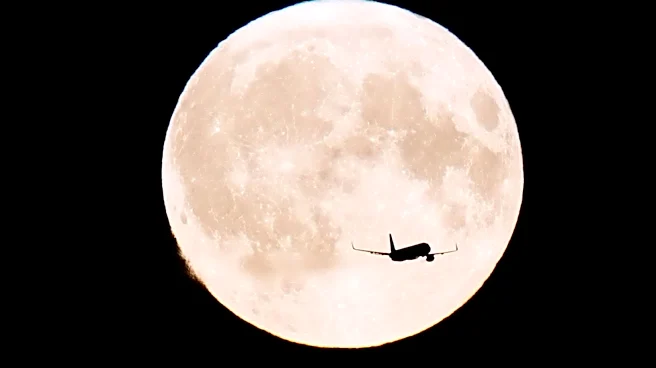 Don't miss it! A rare blue moon is set to light up the sky