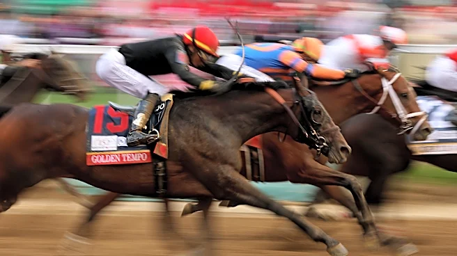 What time is Belmont Stakes draw? Here's when post positions will be revealed