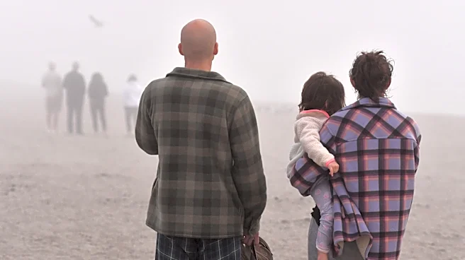 Fog is riddled with bacteria, study finds