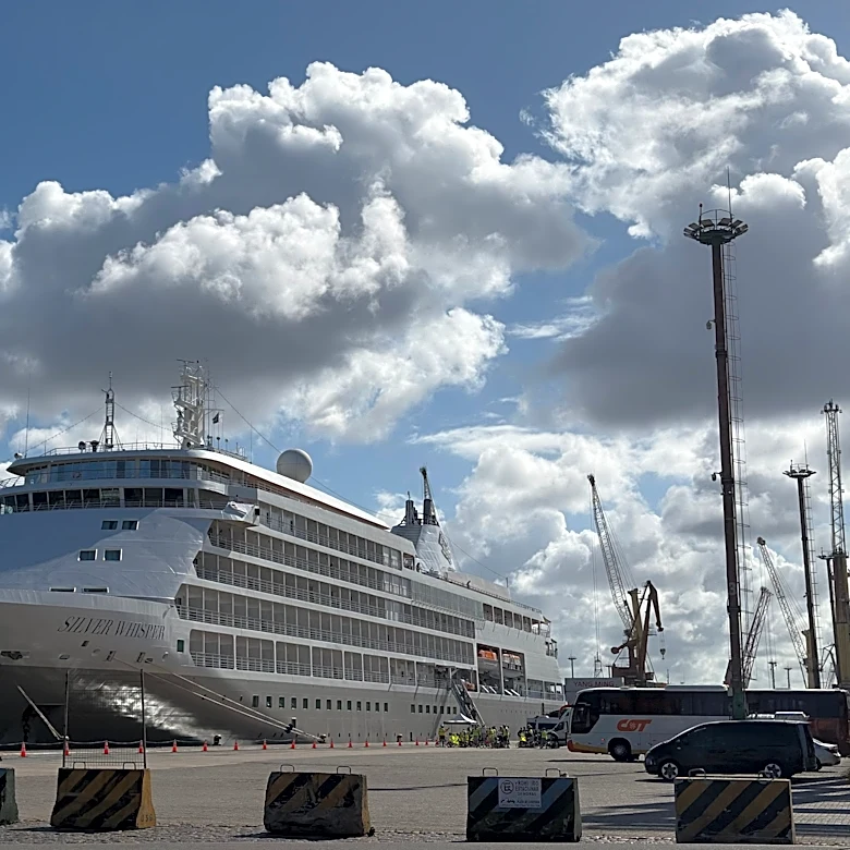 Luxury cruise ship rescues injured man from disabled sailing vessel
