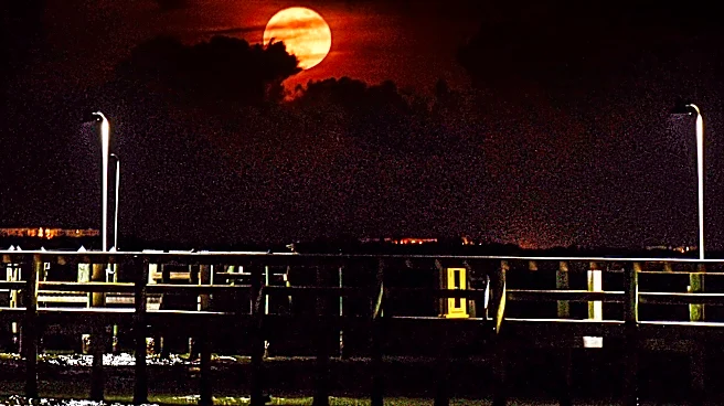 Missed the blue moon? Here's when the next full moon will be